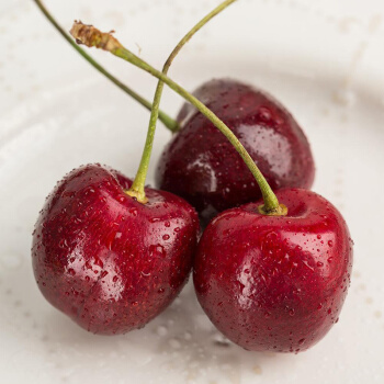 车厘子智利进口